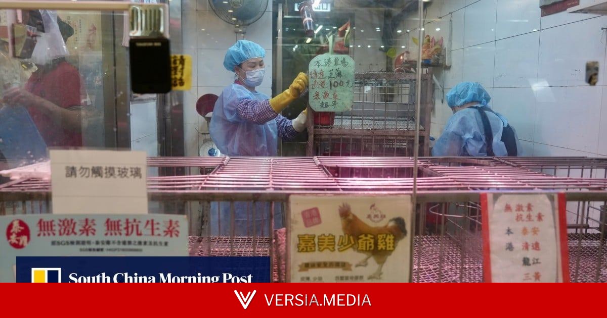 Hong Kong poultry stall suspended for disinfection after bird flu trace detected — Energy | Versia.media